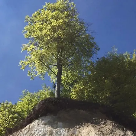 Strandapartment Meeresrauschen Prora Eg Lejlighed Binz