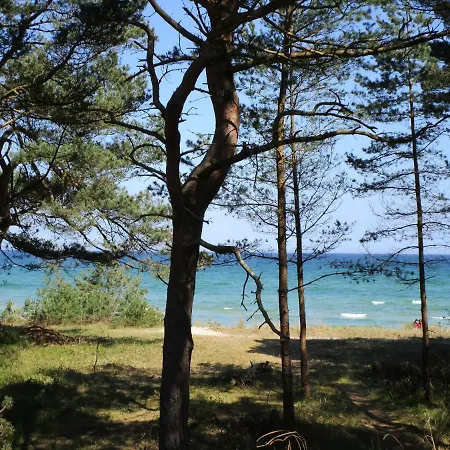 Strandapartment Meeresrauschen Prora Eg Binz