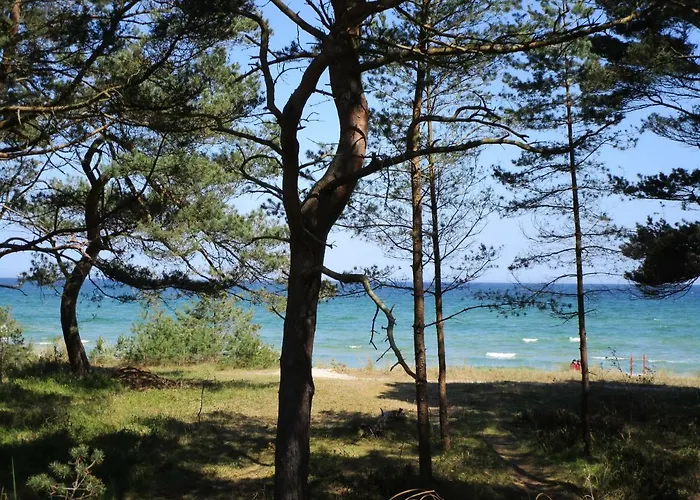 Strandapartment Meeresrauschen Prora Eg Binz